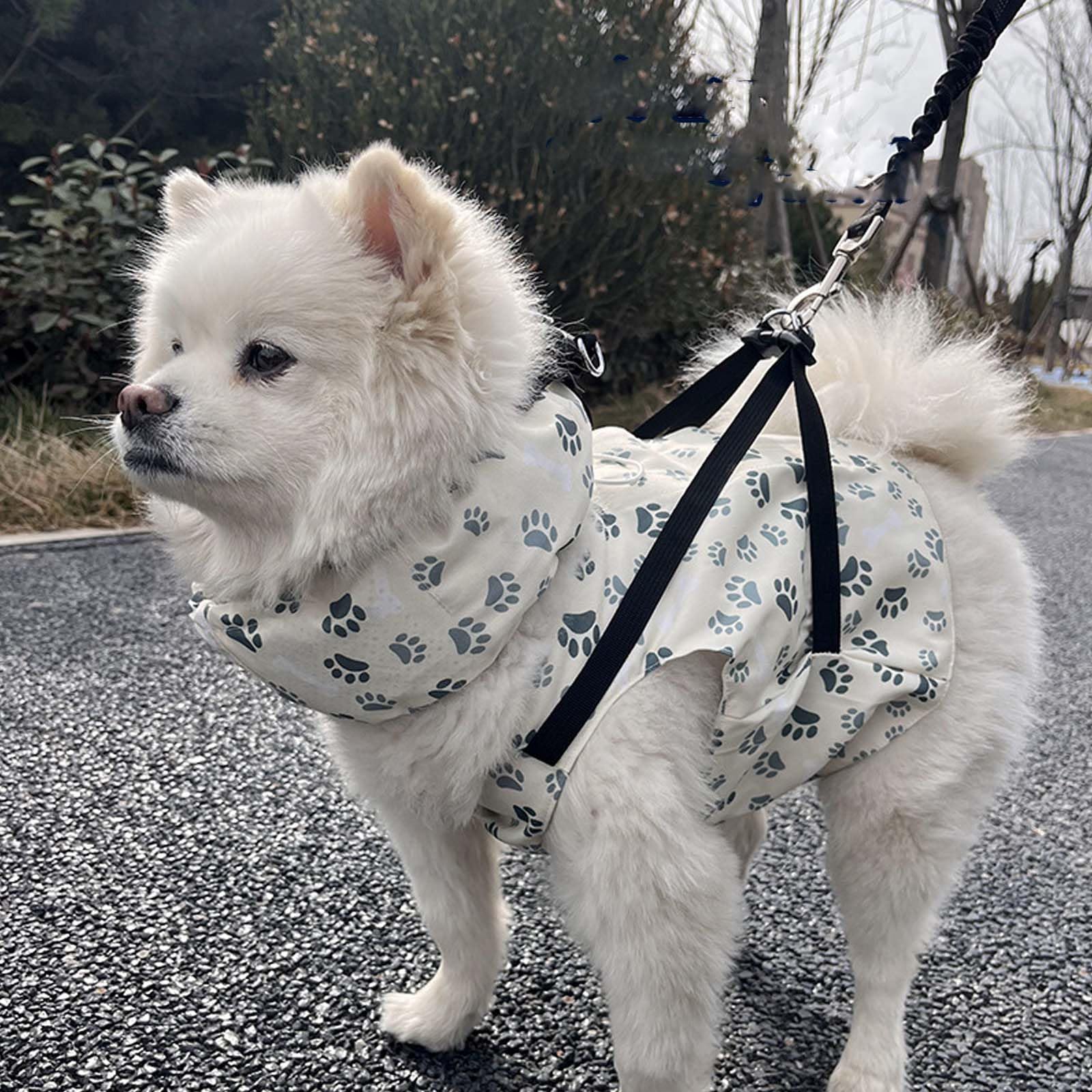 Amazon.co.jp: Hakona 犬 夏服 冷感クールベストと犬 クールネック